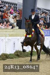 24R13_08647 thumbnail