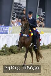 24R13_08650 thumbnail