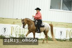 24R13_08660 thumbnail