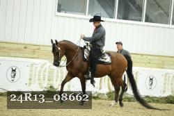 24R13_08662 thumbnail