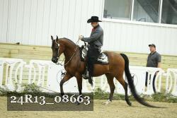 24R13_08663 thumbnail