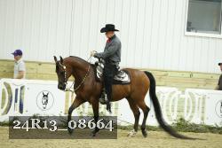 24R13_08664 thumbnail