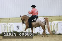 24R13_08666 thumbnail