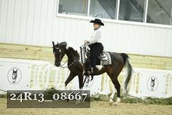 24R13_08667 thumbnail
