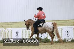 24R13_08668 thumbnail