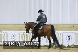 24R13_08677 thumbnail