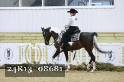 24R13_08681 thumbnail