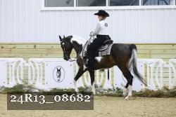 24R13_08682 thumbnail