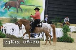 24R13_08720 thumbnail