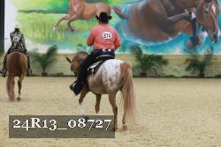 24R13_08727 thumbnail