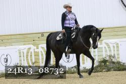 24R13_08732 thumbnail