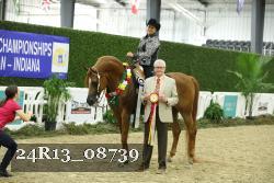 24R13_08739 thumbnail