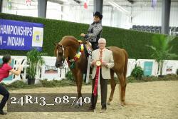 24R13_08740 thumbnail