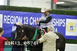 24R13_08741 thumbnail