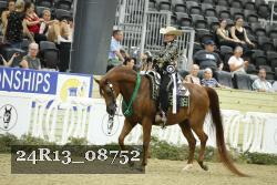 24R13_08752 thumbnail