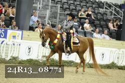 24R13_08771 thumbnail