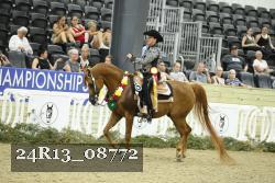 24R13_08772 thumbnail
