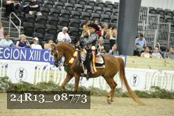24R13_08773 thumbnail