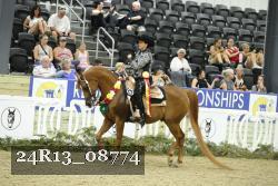 24R13_08774 thumbnail