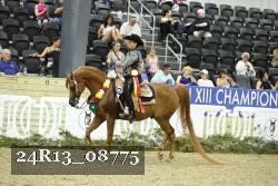 24R13_08775 thumbnail