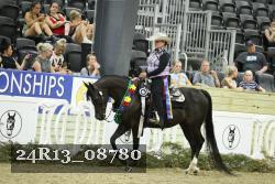 24R13_08780 thumbnail