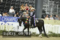 24R13_08781 thumbnail