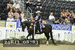 24R13_08783 thumbnail