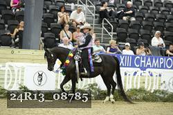 24R13_08785 thumbnail