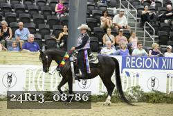 24R13_08786 thumbnail