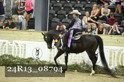 24R13_08794 thumbnail