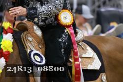 24R13_08800 thumbnail