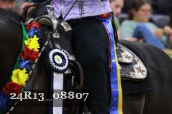 24R13_08807 thumbnail