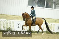 24R13_08809 thumbnail