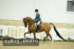 24R13_08810 thumbnail