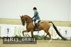24R13_08811 thumbnail