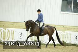 24R13_08813 thumbnail