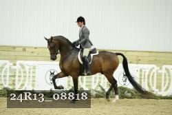 24R13_08818 thumbnail