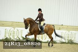 24R13_08820 thumbnail