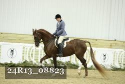 24R13_08823 thumbnail