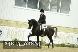 24R13_08824 thumbnail