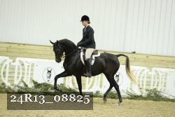 24R13_08825 thumbnail