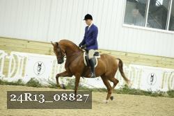24R13_08827 thumbnail