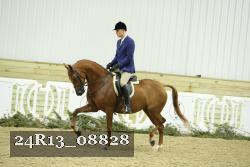 24R13_08828 thumbnail