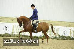 24R13_08829 thumbnail