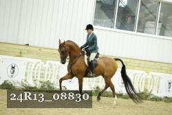 24R13_08830 thumbnail