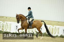 24R13_08831 thumbnail