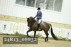 24R13_08832 thumbnail