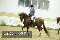 24R13_08837 thumbnail