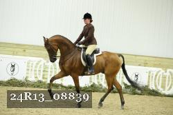 24R13_08839 thumbnail