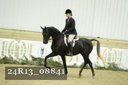 24R13_08841 thumbnail